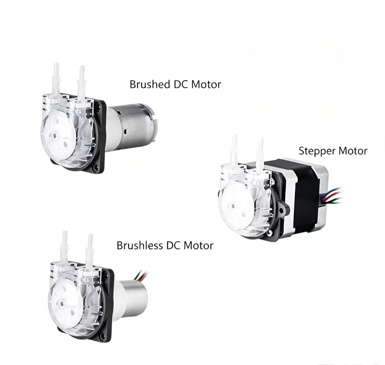 Mini Peristaltic Pump 12V - Pompe péristaltique micro PENGPU 24V avec